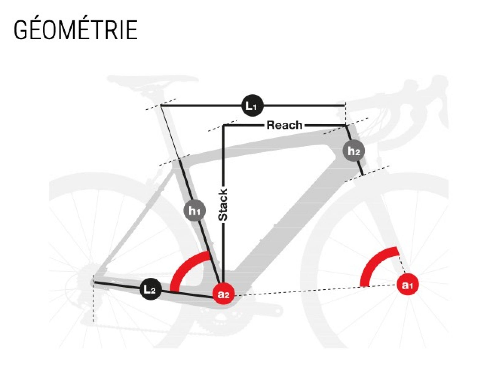 Bike geometry. Велосипед BH Expert Road k7805.